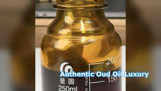 Middle East Oud Oil Luxury Fragrance