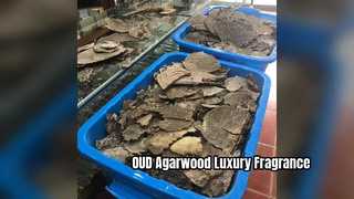 OUD Agarwood: Natural Perfume & Incense Raw Material