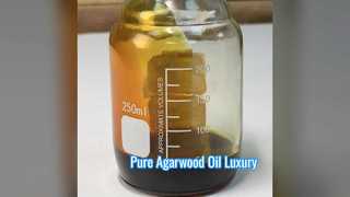 Pure Agarwood Oil Luxury Scent