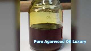 Pure Agarwood Oil: Ancient Insect Eye Oud