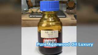 Pure Agarwood Oil Middle East Style